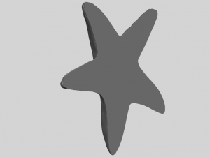 starfish 01 3D-printmodel