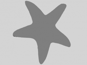 starfish 01 3D-printmodel