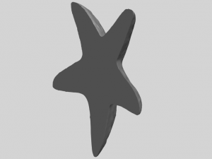 starfish 01 3D-printmodel