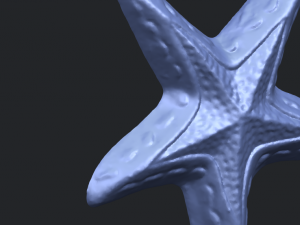starfish 01 3D-printmodel
