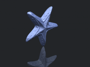 starfish 01 3D-printmodel