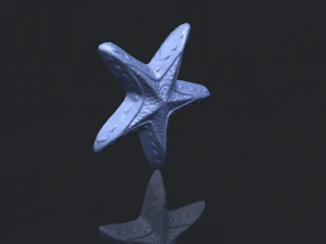 estrella de mar 01 Modelo de impresión 3D