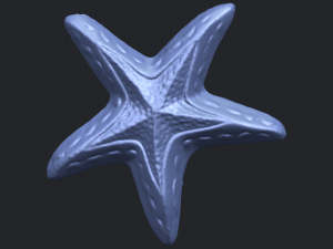 starfish 01 3D-printmodel