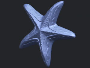 starfish 01 3D-printmodel