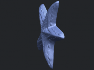 starfish 01 3D-printmodel