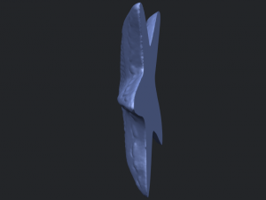 starfish 01 3D-printmodel