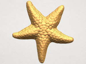 starfish 02 3D Print Model