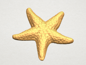 starfish 02 Model do druku 3D