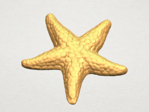 starfish 02 3D Print Model