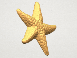 starfish 02 Model do druku 3D