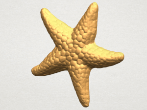 starfish 02 Model do druku 3D