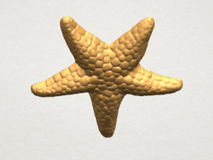starfish 02 Model do druku 3D