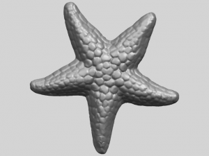 starfish 02 Model do druku 3D