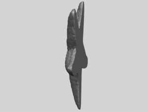starfish 02 Model do druku 3D