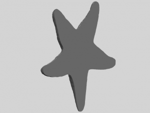 starfish 02 Model do druku 3D