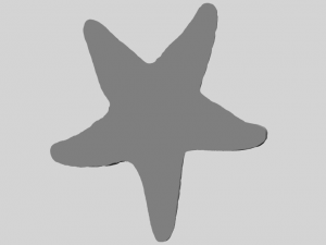 starfish 02 Model do druku 3D