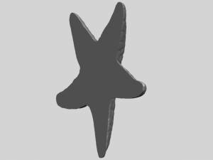 starfish 02 Model do druku 3D