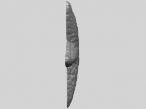 starfish 02 Model do druku 3D