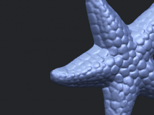 starfish 02 Model do druku 3D