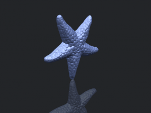 starfish 02 Model do druku 3D