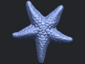 starfish 02 Model do druku 3D