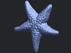 starfish 02 Model do druku 3D