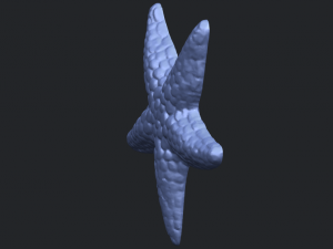 starfish 02 Model do druku 3D