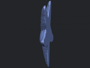 starfish 02 Model do druku 3D