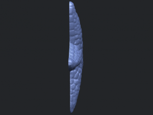 starfish 02 Model do druku 3D