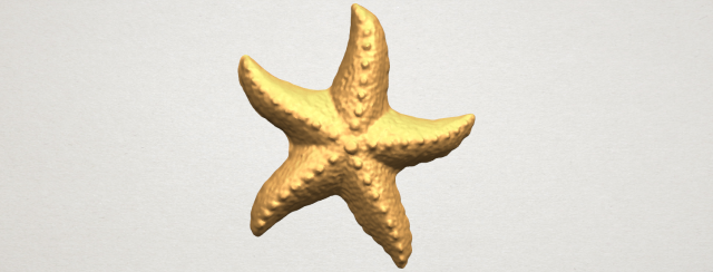 starfish 03 Model do druku 3D .c4d .max .obj .3ds .fbx .stl .blend 