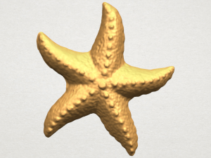 starfish 03 3D Print Model
