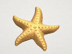 starfish 03 Model do druku 3D