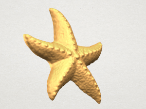 starfish 03 Model do druku 3D