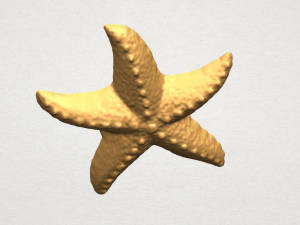 starfish 03 Model do druku 3D