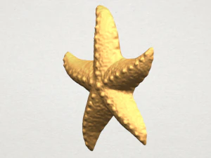 starfish 03 3D Print Model