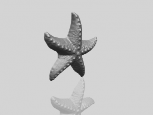 starfish 03 Model do druku 3D