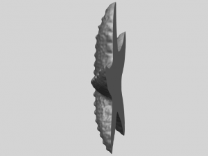 starfish 03 Model do druku 3D