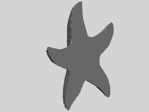 starfish 03 Model do druku 3D