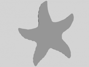 starfish 03 Model do druku 3D