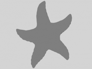 starfish 03 Model do druku 3D