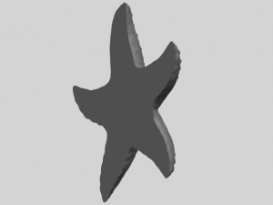 starfish 03 Model do druku 3D