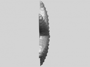 starfish 03 Model do druku 3D
