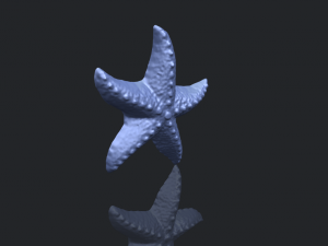 starfish 03 Model do druku 3D