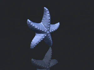 starfish 03 3D Print Model