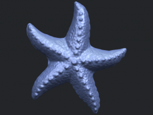 starfish 03 Model do druku 3D