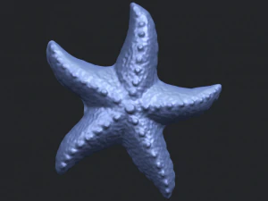 starfish 03 3D Print Model