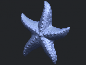 starfish 03 Model do druku 3D