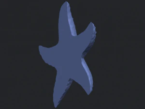 starfish 03 3D Print Model
