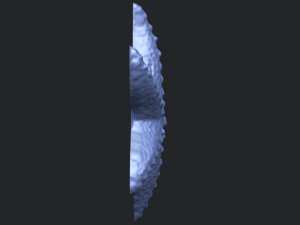 starfish 03 Model do druku 3D