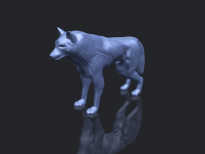 wolf Modèles 3D en vedette